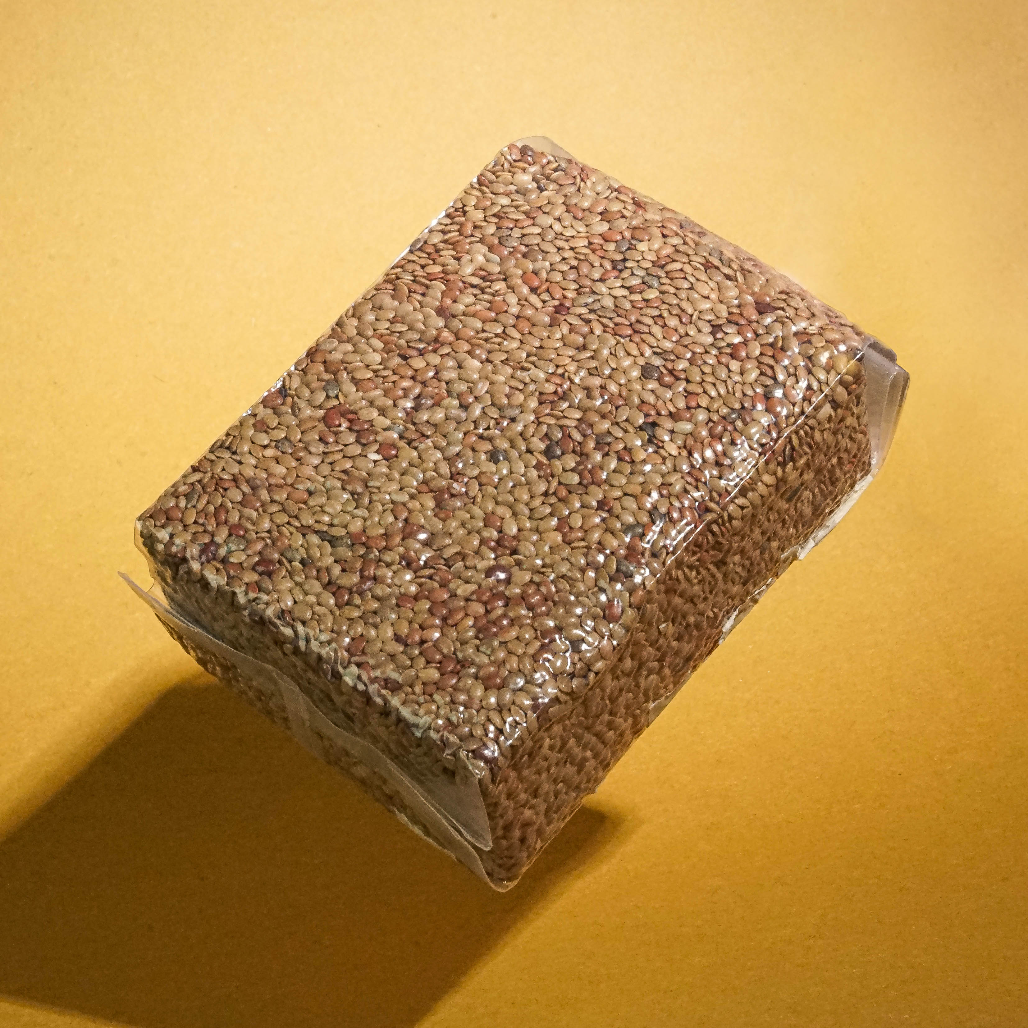 Kollu Kulthi Linsen